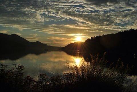 Seeblick Homes Fuschl am See Bagian luar foto